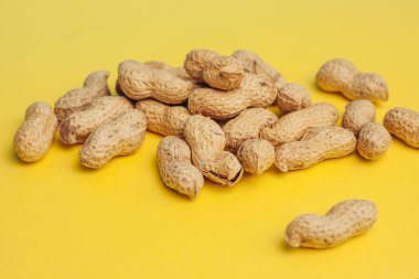 bira fincanı fıstık kabuk sarısı bar atıştırmalığı