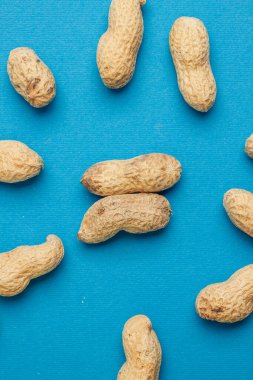 kabuk mavisi arka planda yer fıstıkları yakın çekim üst görünümü