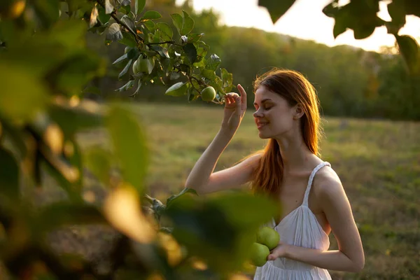 Hojas verdes de los árboles de verano y la mujer con manzanas maduras modelo vestido blanco — Foto de Stock