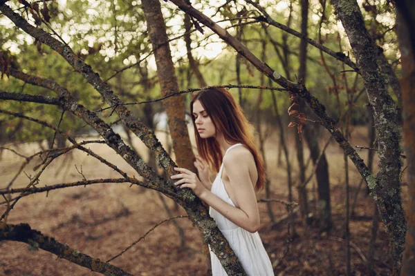 Vacker kvinna i vit klänning lutad på en trädstam på naturen i skogen — Stockfoto