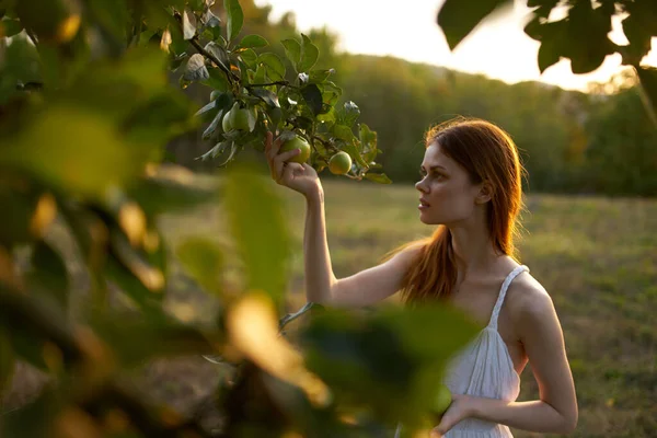 Gröna löv av träd sommar och kvinna med mogna äpplen vit klänning modell — Stockfoto