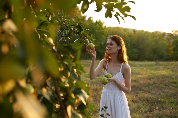 Mogna äpplen på trädet och lycklig kvinna natur frisk luft träd sommar — Stockfoto