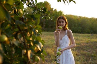 Yazın ağaçların yanında, ellerinde elmalarla bir kadın.
