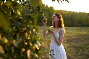 Yazın ağaçların yanında, ellerinde elmalarla bir kadın.