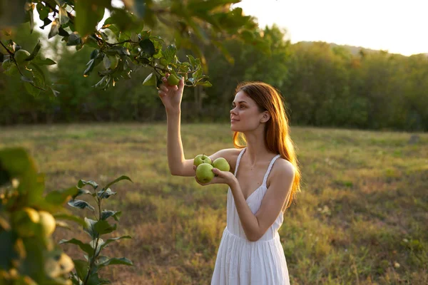 Donna con mele mature su un prato di montagne e alberi alti sullo sfondo — Foto Stock