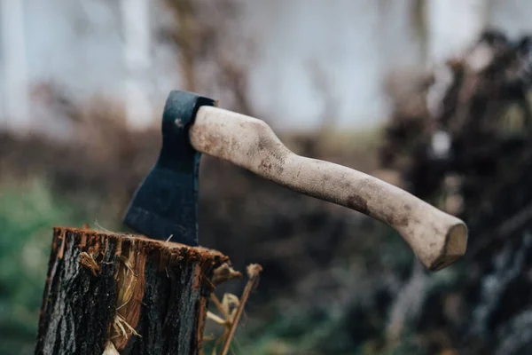 Ax nature harvesting firewood for a fire in the forest — Stock Photo, Image