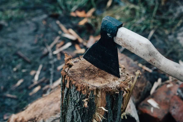 Ax sticks out in the tree stump chopping firewood harvesting for the winter in the fresh air — Stock Photo, Image