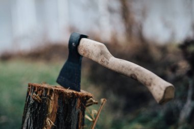 Balta doğası ormandaki bir yangın için odun topluyor.