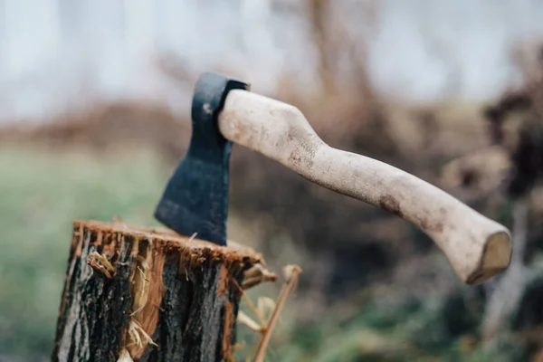 Ax harvesting firewood for the fire nature close-up — Stock Photo, Image