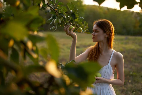 Kobieta w pobliżu jabłoni w białej sukience na świeżym powietrzu w ogrodzie — Zdjęcie stockowe