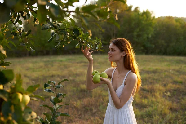 Mele verdi sugli alberi estate Donna in abito bianco aria fresca natura — Foto Stock