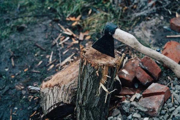 Ax sticks out in the tree stump chopping firewood harvesting for the winter in the fresh air — Stock Photo, Image