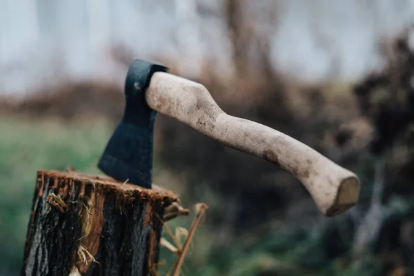 Ax nature harvesting firewood for a fire in the forest — Stock Photo, Image