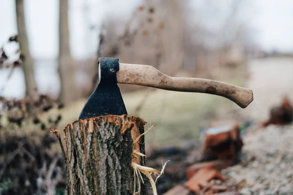 Brandhout oogsten voor de winterbijl natuur buiten voor een vuur — Stockfoto