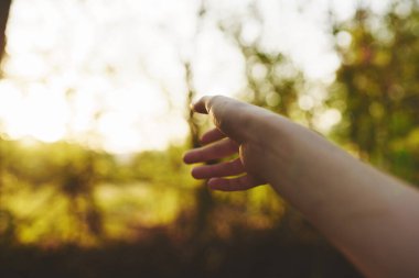 Kadın el parkı yaz ağaçları güneş yeşil çimen doğa