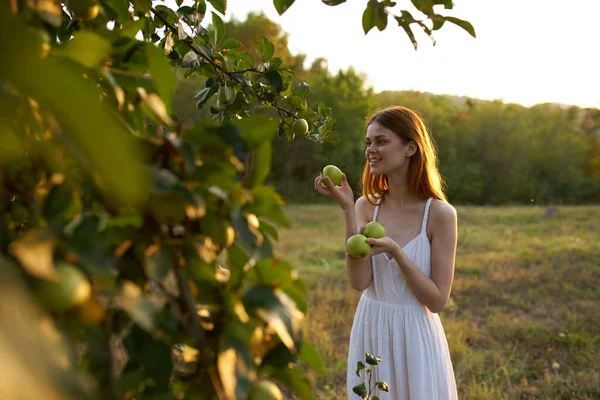Kvinna nära träd med mogna äpplen i händerna på äng i bergen — Stockfoto