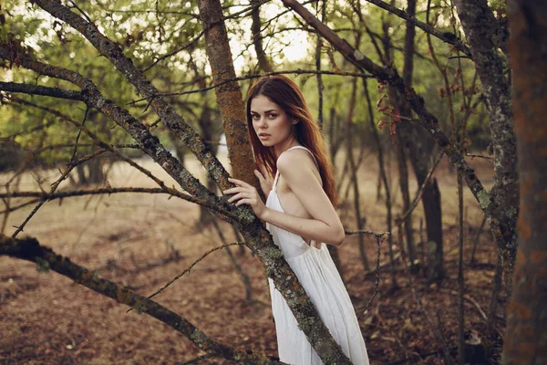 Vacker kvinna i vit klänning lutad på en trädstam på naturen i skogen — Stockfoto