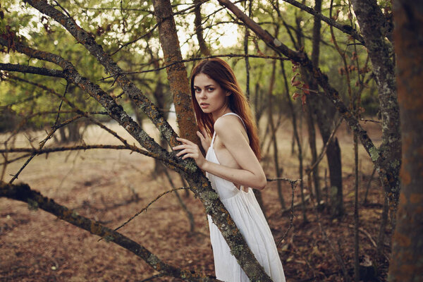 Beautiful woman in white dress leaned on a tree trunk on nature in the forest. High quality photo