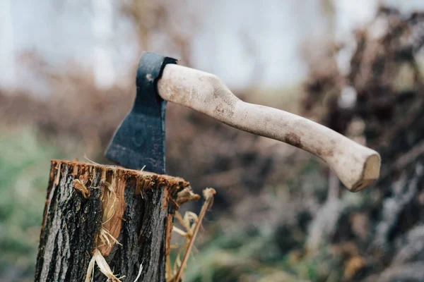 Ax in the stump firewood for a fire outdoors close-up — Stock Photo, Image