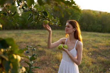 Beyaz elbiseli, ağaçların yanında elmaları olan hoş bir bayan dağlarda bir çayırda