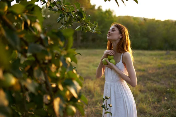 Kvinna nära träd med äpplen i händerna på naturen på sommaren — Stockfoto