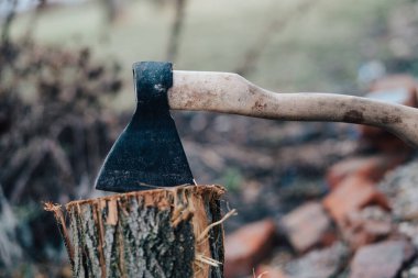 Kış için yakacak odun topluyorum.