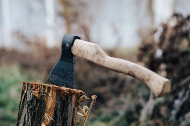 Balta doğası ormandaki bir yangın için odun topluyor.