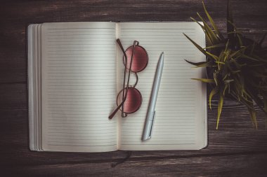 Kalem gözlüklü defter çiçek saksısı çalışma masası