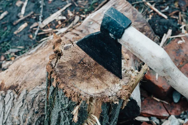 Ax sticks out in the tree stump chopping firewood harvesting — Stock Photo, Image