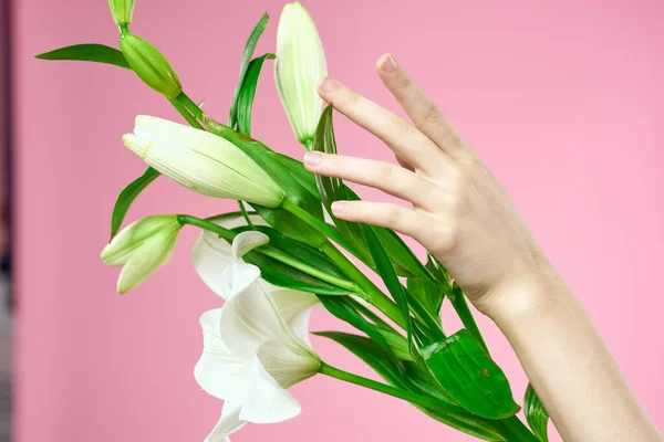 Flores blancas en una mano femenina sobre un fondo rosa — Foto de Stock