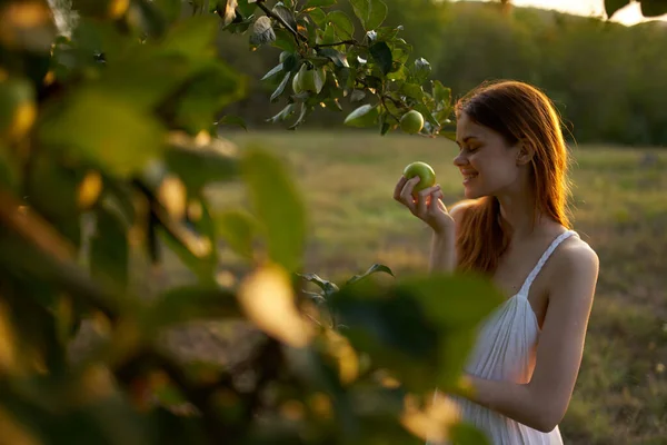 Kvinna nära äppelträdet i en vit klänning utomhus i trädgården — Stockfoto