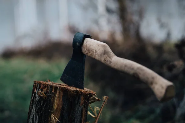 Ax nature harvesting firewood for a fire in the forest — Stock Photo, Image