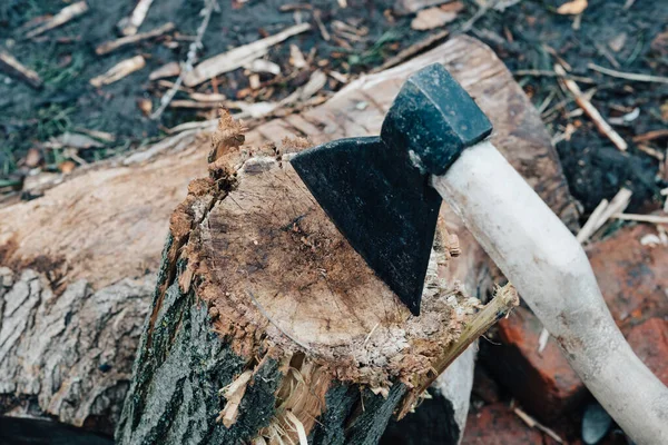 Harvesting firewood for the winter ax nature outdoors for a fire — Stock Photo, Image