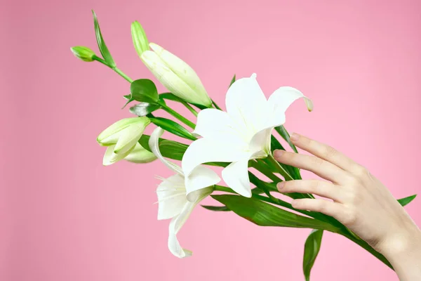 Ramo de flores blancas y manos femeninas sobre un fondo rosa vista recortada — Foto de Stock