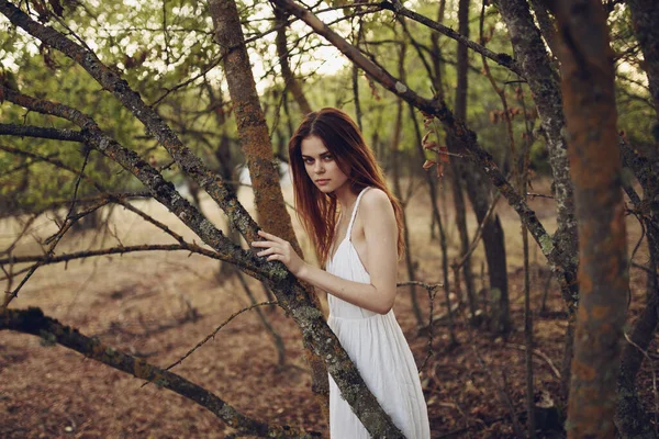 Romantik kadın ormandaki ağaçların yanında. — Stok fotoğraf