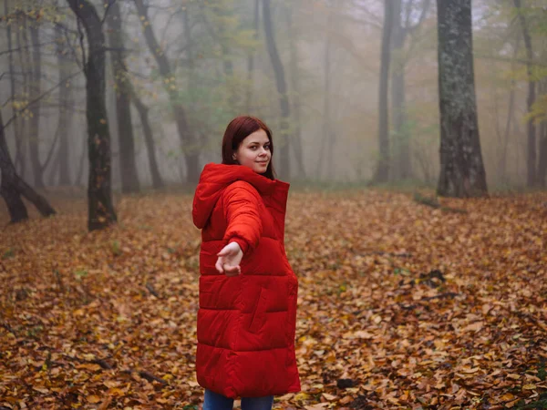 Menj piros kabátban ősz séta a köd sárga levelek utazás — Stock Fotó