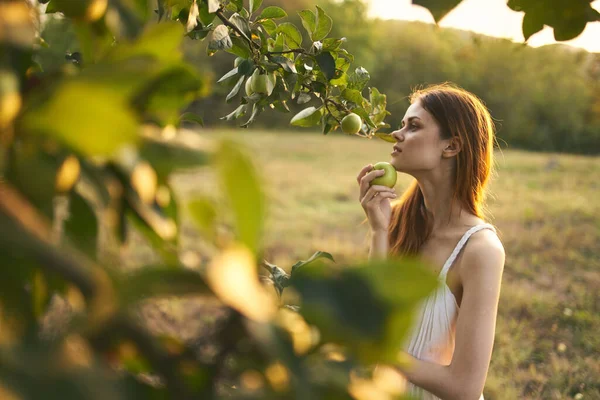 Kvinna nära äppelträdet i en vit klänning utomhus i trädgården — Stockfoto