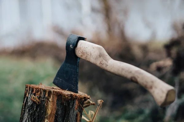 Ax harvesting firewood for the fire nature close-up — Stock Photo, Image