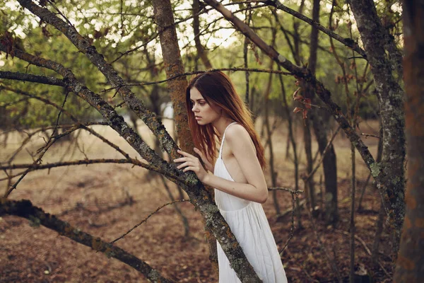 Beautiful woman in white dress leaned on a tree trunk on nature in the forest — Stock Photo, Image