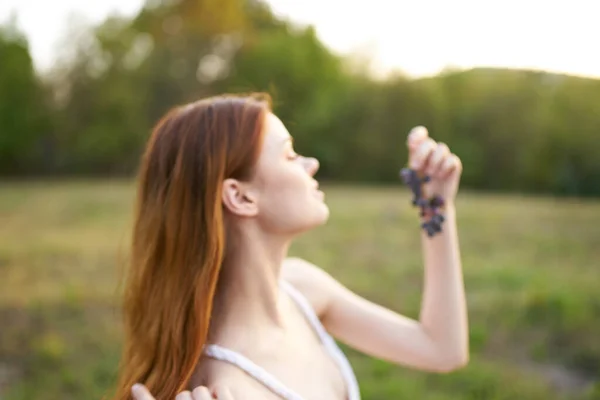 Mujer encantadora con una vid de uvas al aire libre en un prado —  Fotos de Stock