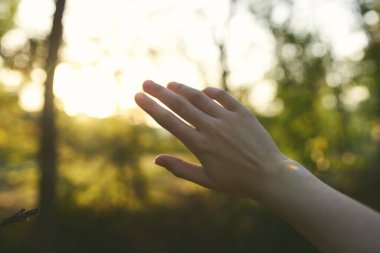 Kadın el parkı yaz ağaçları güneş yeşili çimenler