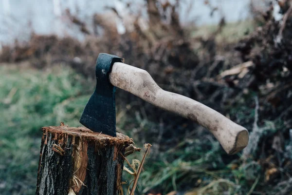 Ax harvesting firewood for the fire nature close-up — Stock Photo, Image