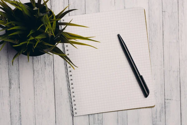 notepad with pen flower potted wooden table office top view