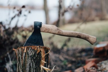 Yakmak için odunların arasında balta var.