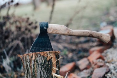 Kış için yakacak odun topluyorum.