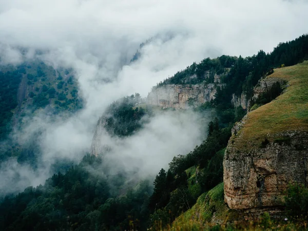 Ландшафтні гори природа свіже повітря соснові дерева провінція — стокове фото