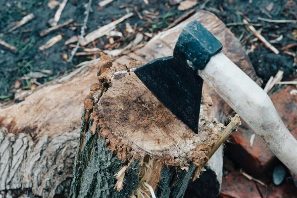 Ax sticks out in the tree stump chopping firewood harvesting — Stock Photo, Image