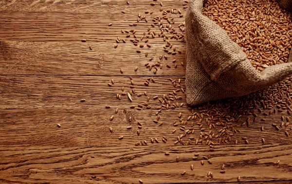Пшеница в мешке фоновое изображение деревянный стол зерновые продукты вид сверху — стоковое фото