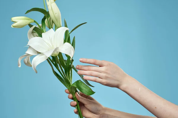 Ramo de flores blancas sobre fondo azul y vista femenina recortada a mano — Foto de Stock