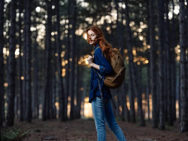 Mujer pelirroja feliz en una camisa azul viaja en un bosque de pinos en la naturaleza —  Fotos de Stock